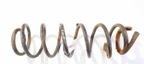 Rear coil spring