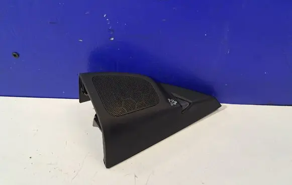 Front door speaker