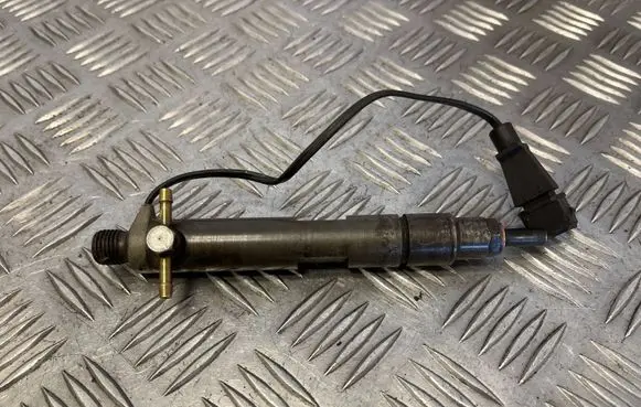 Seat Alhambra (Mk1) Fuel injector 028130201S