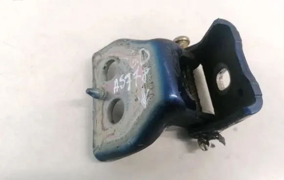 Peugeot 307 Rear door lower hinge 