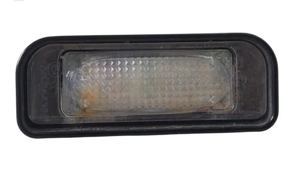 Mercedes-Benz S W220 Number plate light
