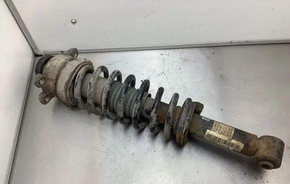 Alfa Romeo 159 Rear shock absorber with coil spring
