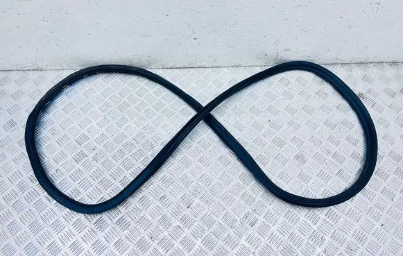 BMW 5 G30 G31 G38 Rear door rubber seal (on body) 7381326