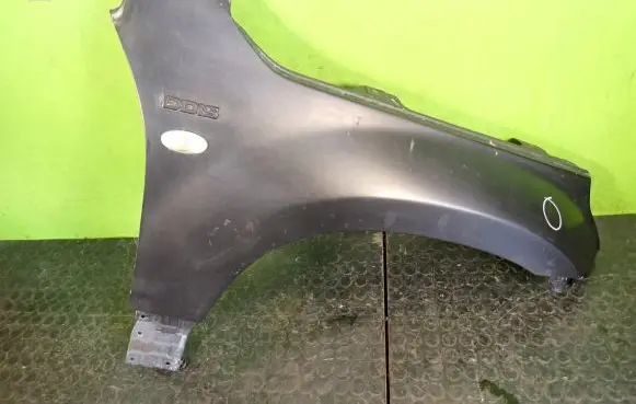 Suzuki Grand Vitara II Fender