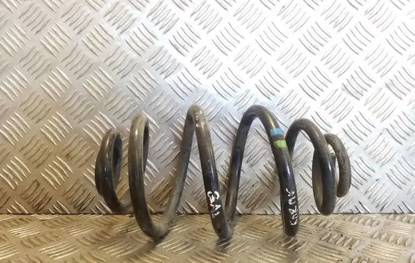 Rear coil spring