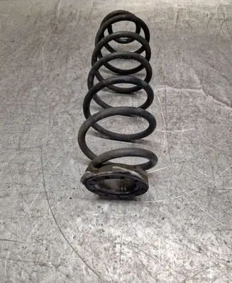 Rear coil spring