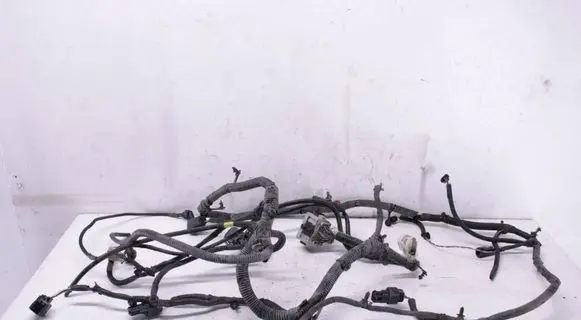 Dodge RAM 1500 DS Other wiring loom P68209983AE F3446N31450