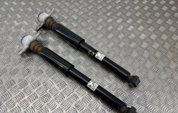 KIA Xceed Rear shock absorber/damper 55300J7R00