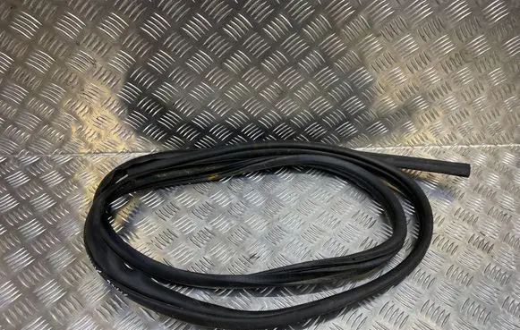 Mitsubishi Space Star Rubber seal front door (on door) 