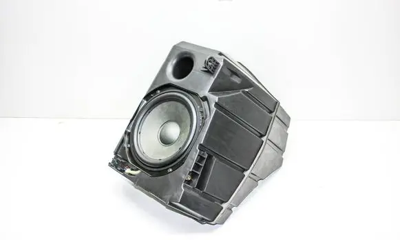 Tesla Model 3 Subwoofer speaker 107974700D