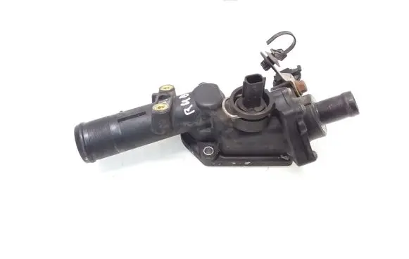 Thermostat/thermostat housing