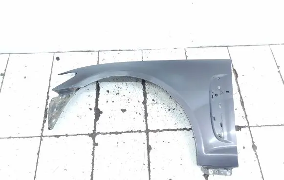 Jaguar XF X250 Fender