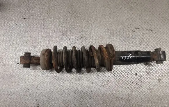 Peugeot 407 Rear shock absorber with coil spring 20341106