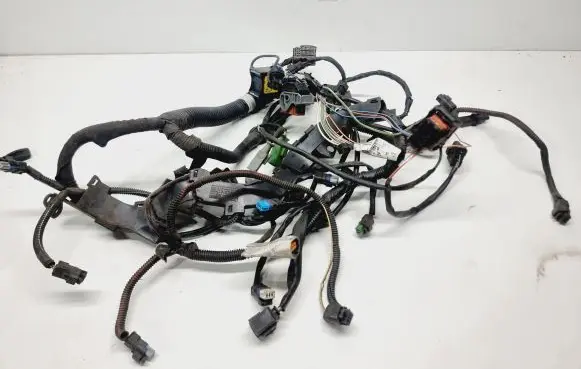 Engine installation wiring loom