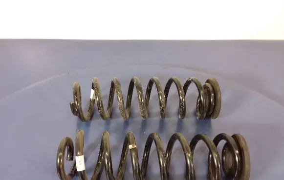 Skoda Kodiaq Rear coil spring