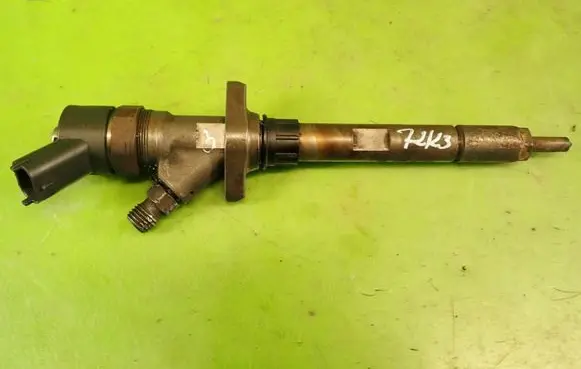 Citroen C8 Fuel injector 0986435014