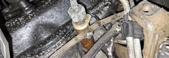 Volkswagen PASSAT B5 Fuel injector 
