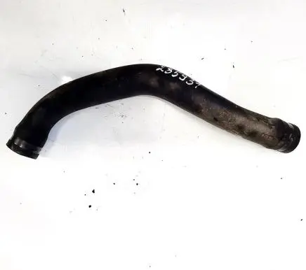 Citroen Berlingo Engine coolant pipe/hose