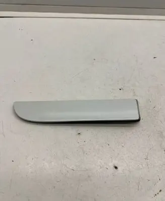 Renault Zoe Roof trim bar molding cover 738539026R