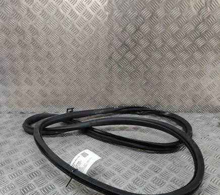 Mercedes-Benz EQE v295 Rubber seal front coupe door A2956970100