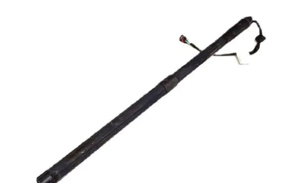 Tailgate strut