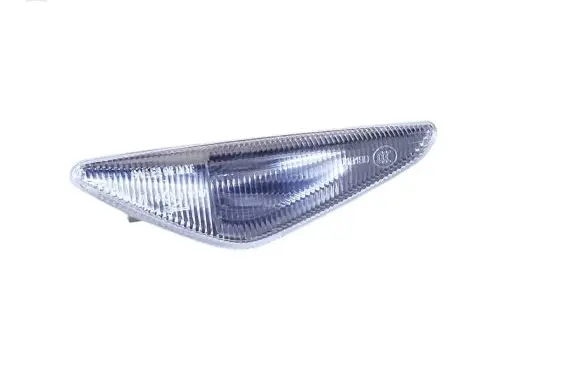 BMW X5 E70 Front fender indicator light 7171007 A0218100