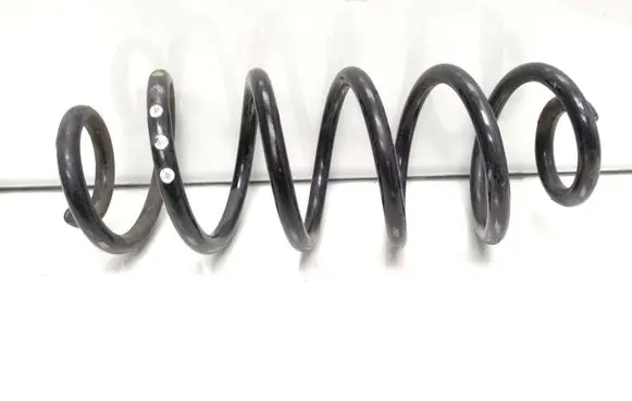 Rear coil spring