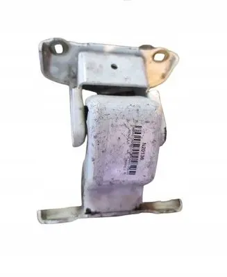 Renault Trafic II (X83) Rear door hinge set 