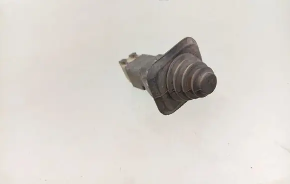 Lancia Dedra Front door sensor 