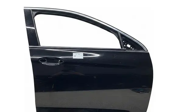 Opel Insignia B Front door Z22Y