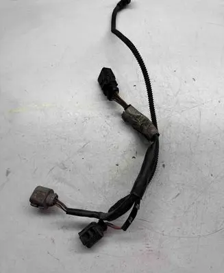 Other wiring loom