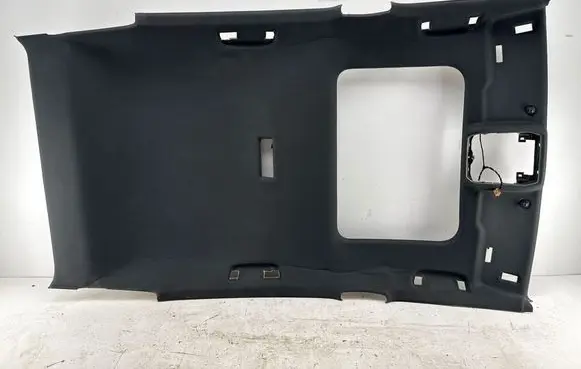 Volkswagen Golf VIII Headlining 368129669 5H6867501A