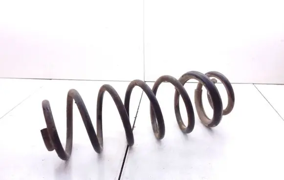 Rear coil spring