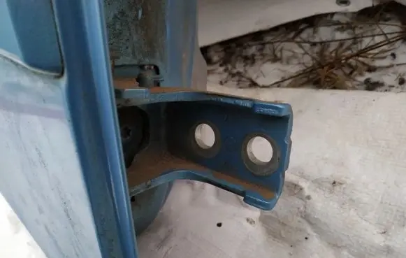 Rear door lower hinge