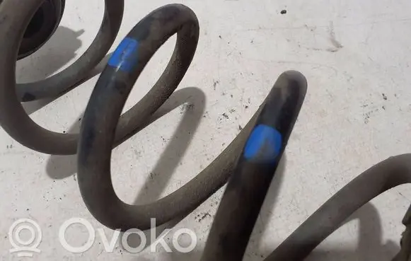 Renault Koleos II Rear coil spring 550205HA0B