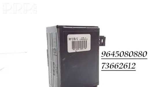 Peugeot 607 Other control units/modules 73662612 9645080880