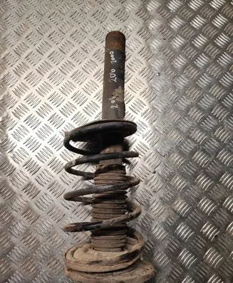 Peugeot 206 Front shock absorber with coil spring