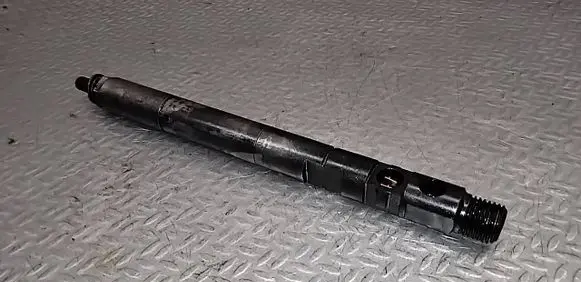 Mercedes-Benz E W211 Fuel injector A6460700987 EJBR04201D