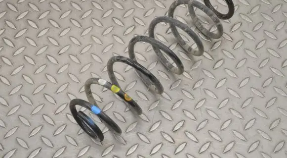 Rear coil spring
