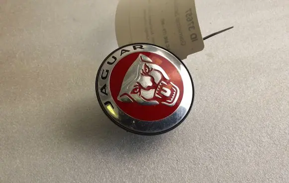 Jaguar E-Pace Original wheel cap JGB001 1A096