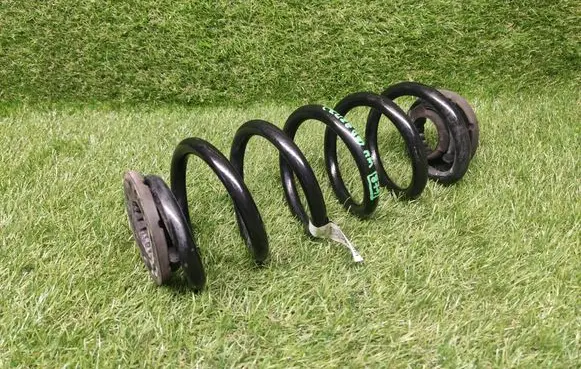Chevrolet Cruze II Rear coil spring 13366736 799117036