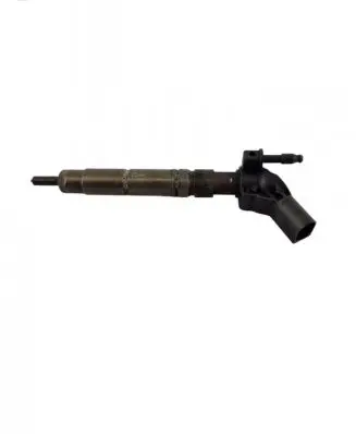 Mercedes-Benz R W251 Fuel injector A6420701387