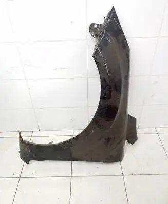Ford Focus Fender