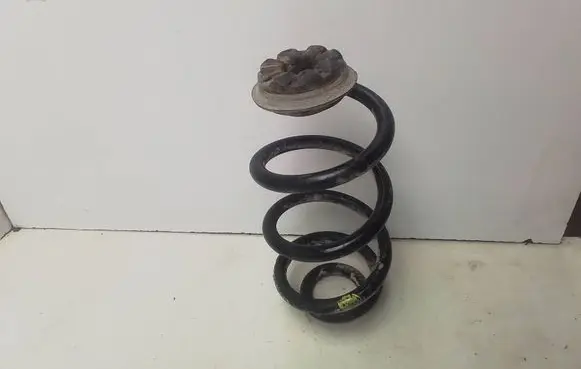 Rear coil spring