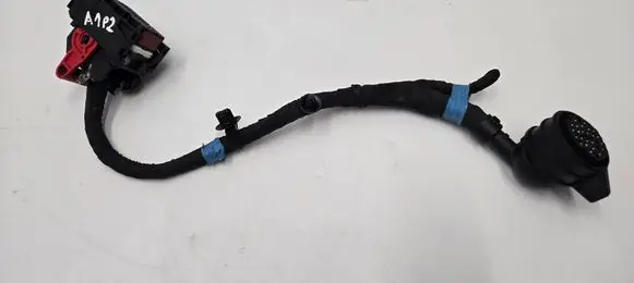 Land Rover Range Rover Evoque L551 Other wiring loom