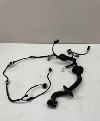 Renault Scenic IV - Grand scenic IV Front door wiring loom 241255444R