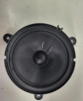 Renault Zoe Front door speaker
