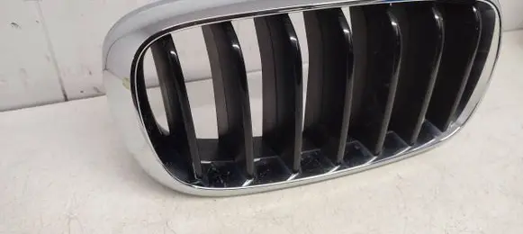 BMW X6 F16 Front bumper upper radiator grill 7316076 7316058 7316054