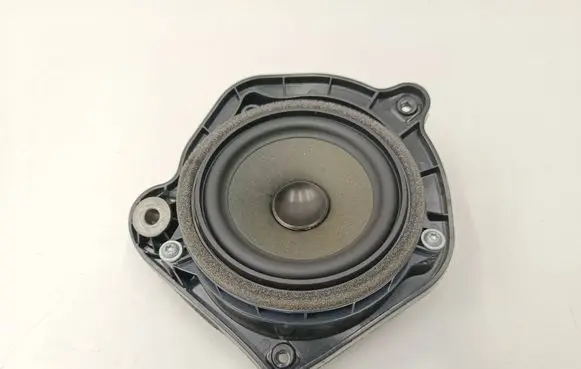 Rear door speaker