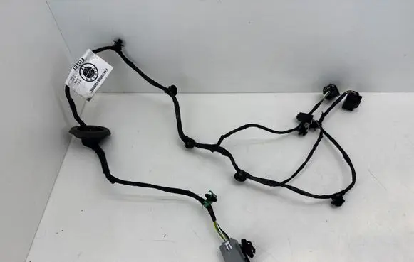 Fisker Ocean Tailgate/trunk wiring harness FM2980610683C